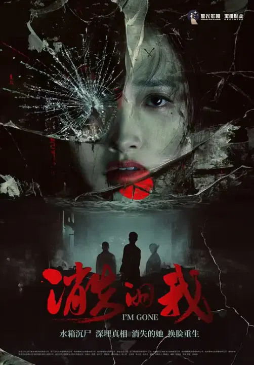 【惊悚片】消失的我